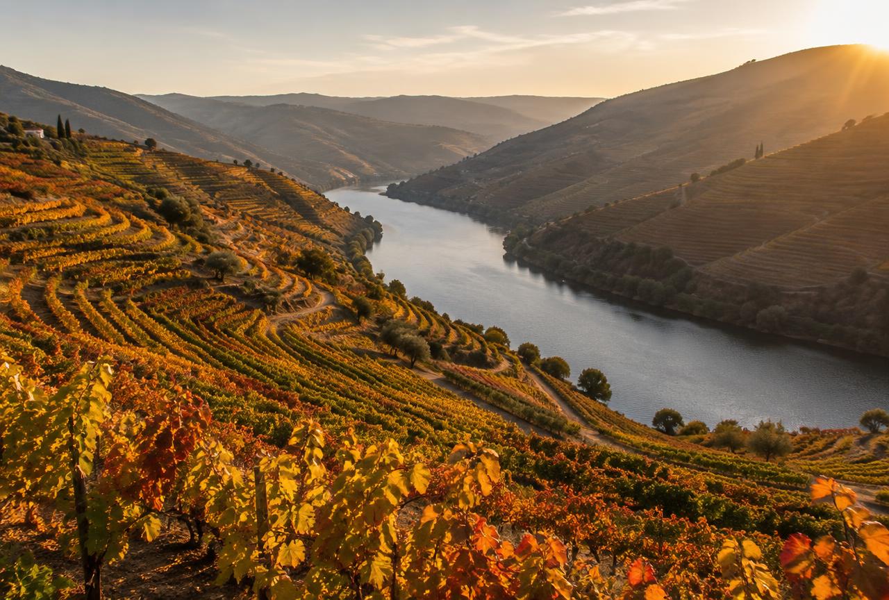 Douro Valley, Portugal